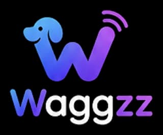 Waggzz